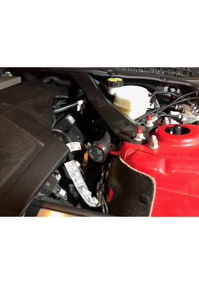 Ford Mustang Factory Five Mk4 Gaz Teli Pedal Ucu Tıpası