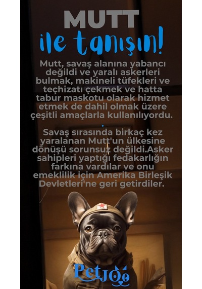 Petjoo 10.Mutt Mavi-Gri Qr'lı Köpek Künyesi