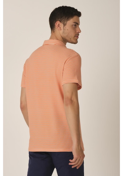 Alexander Gardi Alexandergardı Polo Yaka Erkek Düğmesiz T-shirt E21-84000