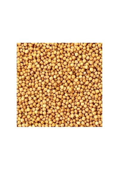Sarı Hardal Tohumu Sinapis Alba 100 Gram - 938183483