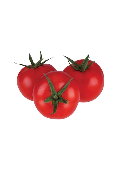 Expres Tohumculuk Falcon Domates Tohumu 300 Adet Tohum
