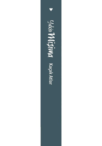 Kaçak Atlar - Yukio Mişima  - Can Yayınları