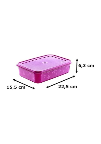 Derin Dondurucu Saklama Kabı 1500 Ml 2 Li Set --