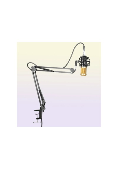 Metal Akrobat Mikrofon Standı Shock Mount Titreşim Önleyici Yayıncı Sehpa Çift Kollu Stand