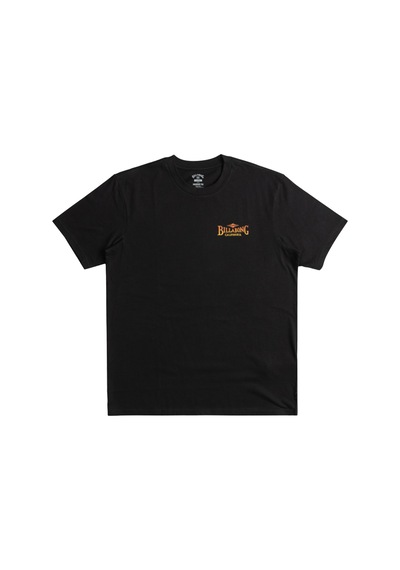 Bıllabong Billabong Dreamy Place Tees Erkek Siyah Tişört 19 SIYAH