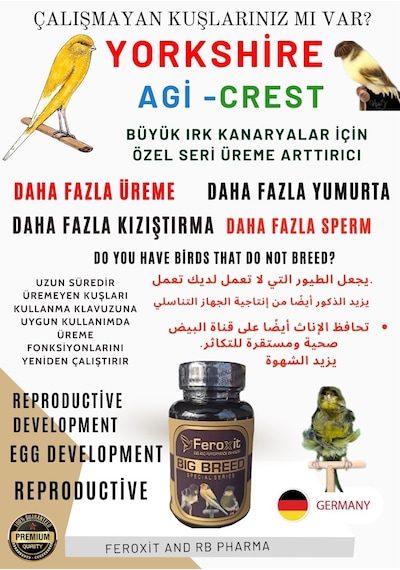 Feroxit Büyük Irk Kanaryalar İçin Özel Olarak Geliştirilen Daha Fazla Üreme