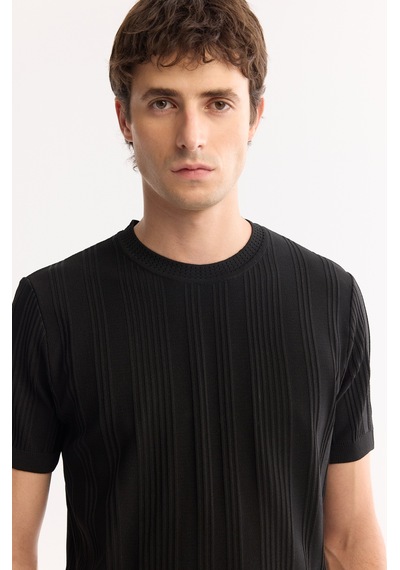 Avva Erkek Siyah Bisiklet Yaka Çizgili Triko Regular Fit T-shirt A52y5005
