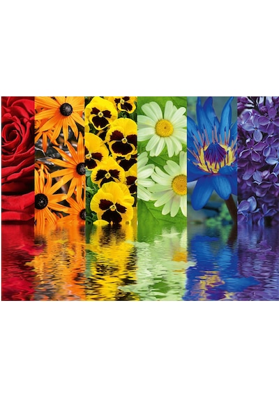Ravensburger 500 Parça Puzzle Çiçek Yansıma Rpo164462