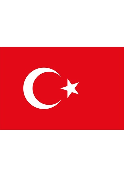 Türk Bayrağı 300X450