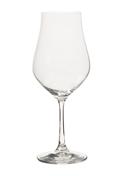 Mudo Home Arıa Kadeh 450 Ml Çok Renkli