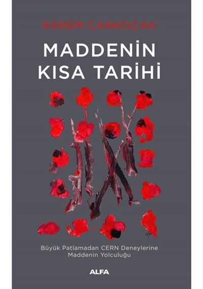 Maddenin Kısa Tarihi