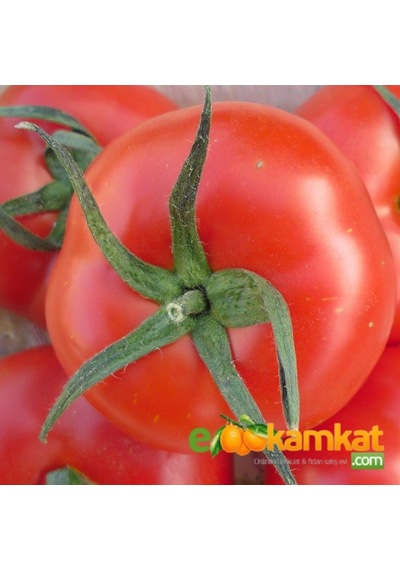 H-2274 Domates Tohumu 10 Gr Paket 1 Paket