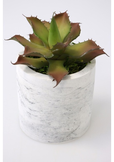 Yapay Çiçek Deposu Beton Saksıda Islak Büyük Succulent Echeveria Setosa Kahve-yeşil