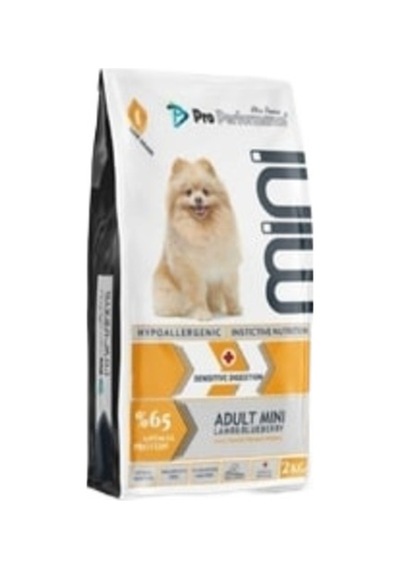 Adult Mini Lamb & Blueberry Hair Skin 2 Kg