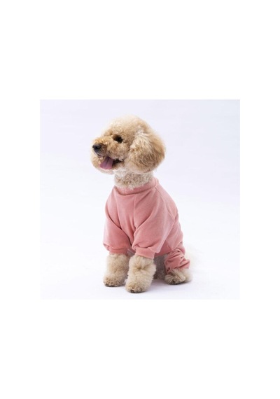 Pawstar Rose Bonjour Kadife Küçük Irk Köpek Tulumu