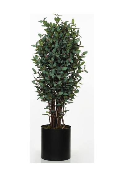 Bery Green 160 Cm Metal Saksılı Ak.znd029