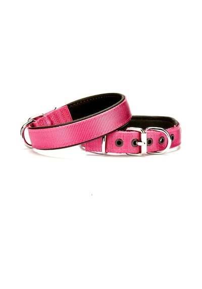 Softlu Dokuma Köpek Tasması 2,5 Cm X 50 Cm Mor - Uxfo-296193 Çok Renkli