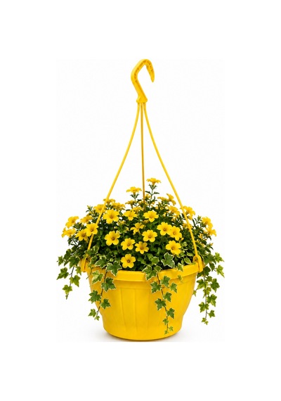 Sarı Askılı Saksı 4.5 Lt 3 Adet 24.7x15.2 Cm / Askı Dahil 60 Cm