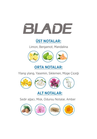 Blade Marine Fresh Erkek Parfüm EDT 70 ML + Marine Fresh Erkek Sprey Deodorant 3 x 150 ML