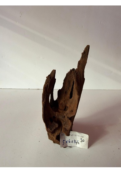 Mangrow Kökü No:a30 5x6x14h