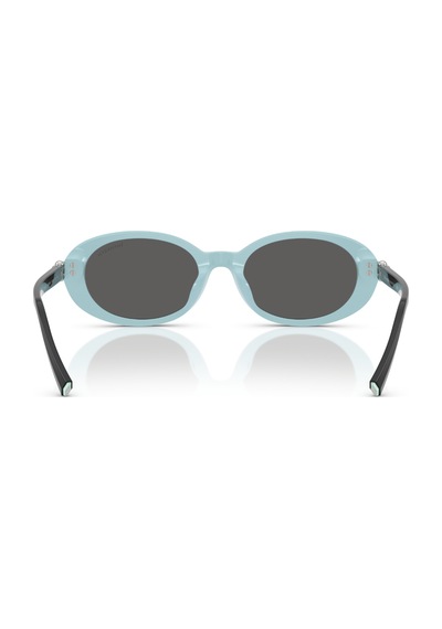 Tf 4242d 8055s4 54 Tiffany & Co. Güneş Gözlüğü Siyah