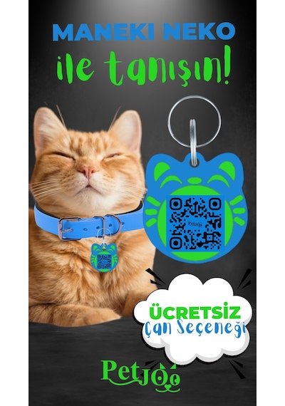 Petjoo 4.Maneki Neko Yeşil-Mavi Qr'lı Kedi Künyesi