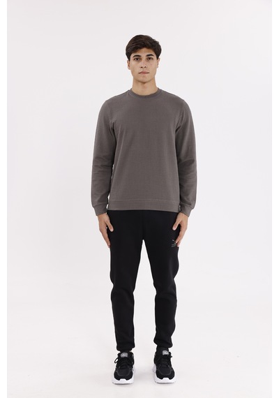 Rowinger Petek Yüzeyli Bisiklet Yaka Rahat Kalıp Lastik Manşetli Mevsimlik Sweatshirt Antracite Rowinger Petek Yüzeyli Bisiklet Yaka Rahat Kalıp Lastik Manşetli Mevsimlik Sweatshirt Antracite