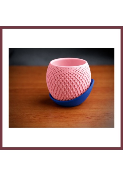 Storeşahin 3d Baskı Küre Saksı - Kafes Dokulu İki Parçalı Dekoratif Saksı - Pembe-mavi Shn0720