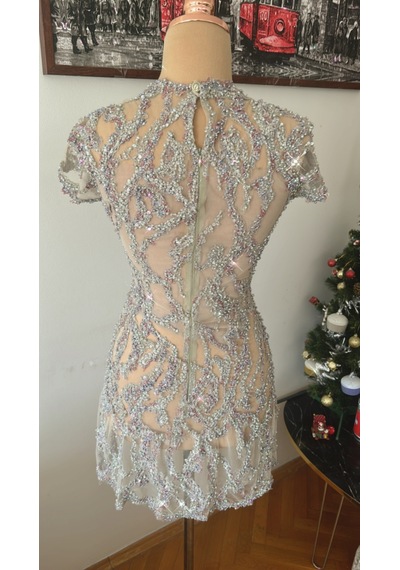 Chica Rosa Fashion Lily Dantel İnci Taş İşlemeli Kısa Elbise