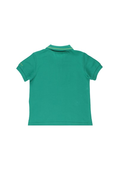 Erkek Çocuk Yeşil Polo Yaka Tişört Çok Renkli 2311BK05076
