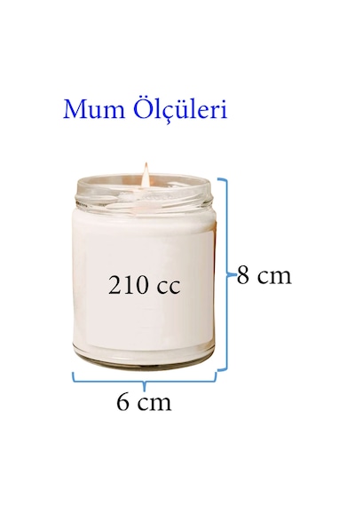 Doğal Özel Seri Kokulu Dekoratif Kavanoz Mum 210 Cc - Vanilya - Ryl Çok Renkli