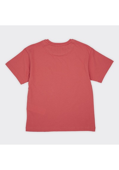 Panço Erkek Çocuk Baskılı T-shirt Nar 2411bk05038-4493 001