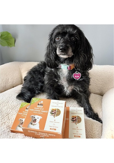 Kito Fresh Kuzu Etli Köpek Yemeği%100 Taze İçerikli Mama 250 Gr