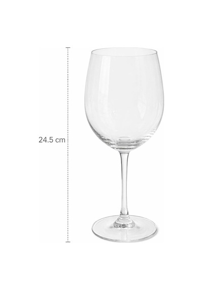 6 Adet 500 Ml Kadeh Şarap Meşrubat Kadehi 24.5 Cm Çok Renkli