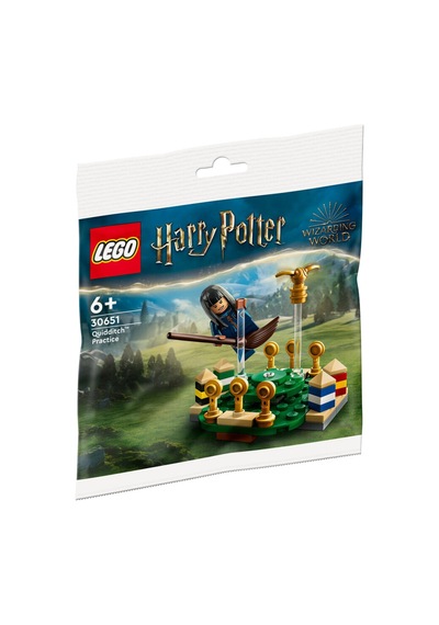 LEGO® Harry Potter 30651 Quidditch Antrenmanı 55 Parça