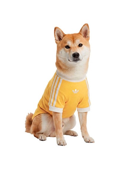 Adidas Pet Calı Tee Kedi-köpek Tişörtü Ky8731 Sarı