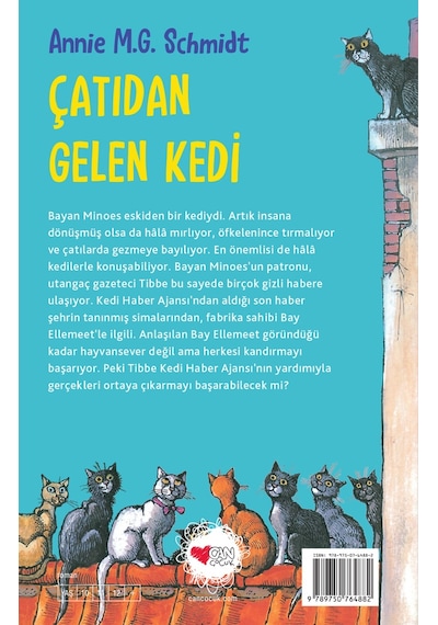 Çatıdan Gelen Kedi