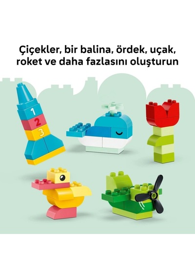 Renkli Yaratıcı Kutu 10479 Diğer