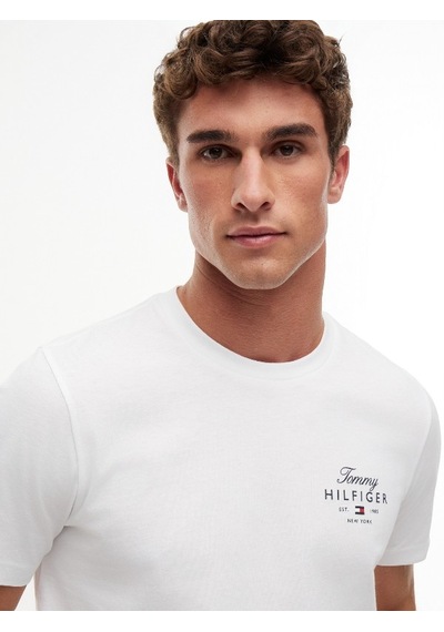 Tommy Hilfiger Scrıpt Stack Regular Tee Erkek Beyaz T-shirt - Mw0mw43224