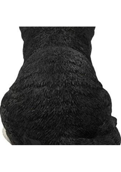 Ltd Geschenk Statue Schlafende Katze Schwarz Weiß