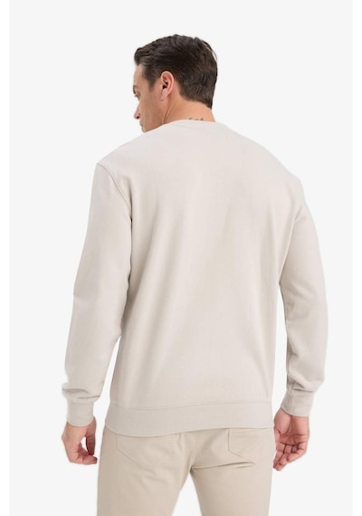 Defacto %100 Pamuk Regular Fit Bisiklet Yaka Sweatshirt E8339ax25aubg766 Bej