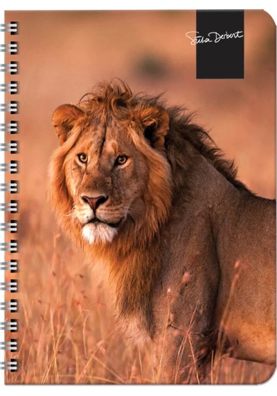 Keskin Color Süha Derbent Çizgili Defter 17x24 Cm 120 Yaprak 326811-99