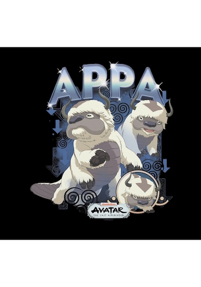 Avatar The Last Airbender Appa Baskılı %100 Pamuk Unisex Siyah Kapüşonlu Sweatshirt Siyah