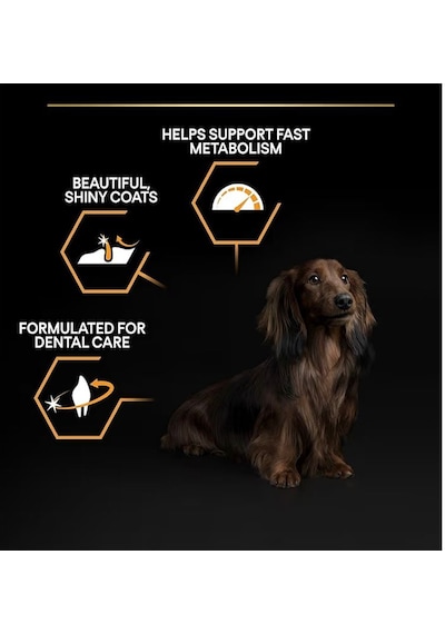 Pro Plan Small & Mini Adult Tavuklu Köpek Maması 3 Kg