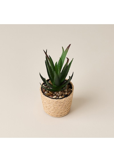Deco Hasır Saksı Yapay Aloe Vera - Bej / Yeşil - 14x6 Cm Çok Renkli