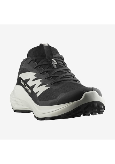 Salomon Alphaglıde Erkek Spor Ayakkabı L47801000 Siyah