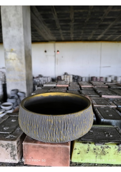 Beton Orkide Bonsai Ve Aranjman Saksısı