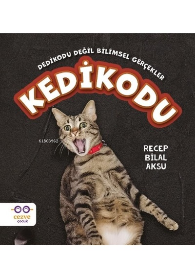 Kedikodu - Recep Bilal Aksu - Cezve Çocuk