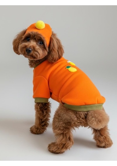 Kemique Pineapple And Ice Cream Turuncu Haki Bereli Köpekler İçin Polar Sweatshirt Takım