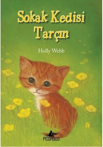 Sokak Kedisi Tarçın - Holly Webb - Pegasus